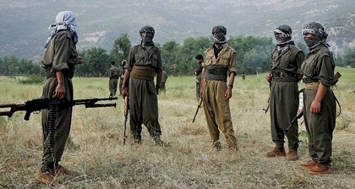 Yazar Hoşeng Ose, PKK'nin gizli planını açıkladı