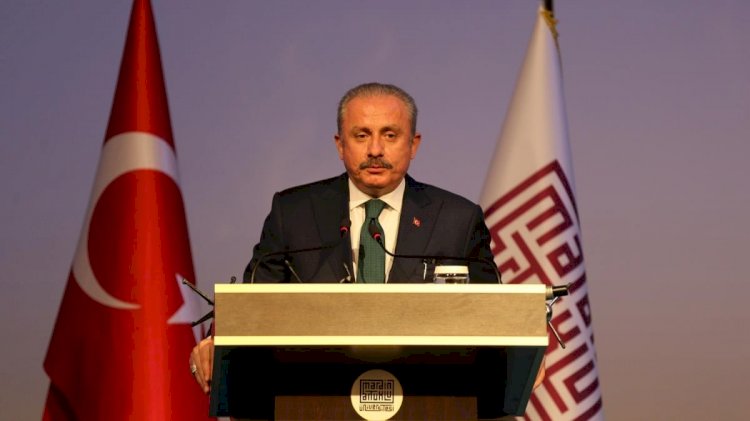 Meclis Başkanı Şentop'un Kürtçe açıklaması: Türkçe dışında bir dil