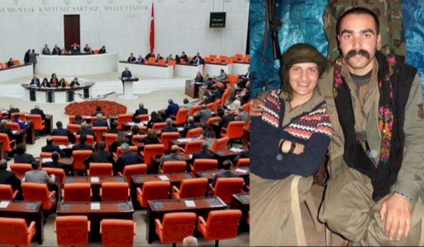 HDP Milletvekili Semra Güzel'in dokunulmazlık dosyası Meclis'te