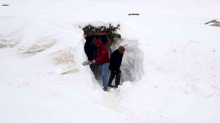 Muş'ta kar nedeniyle bir köy adeta yok oldu! Evlere tünellerle ulaşım sağlanıyor