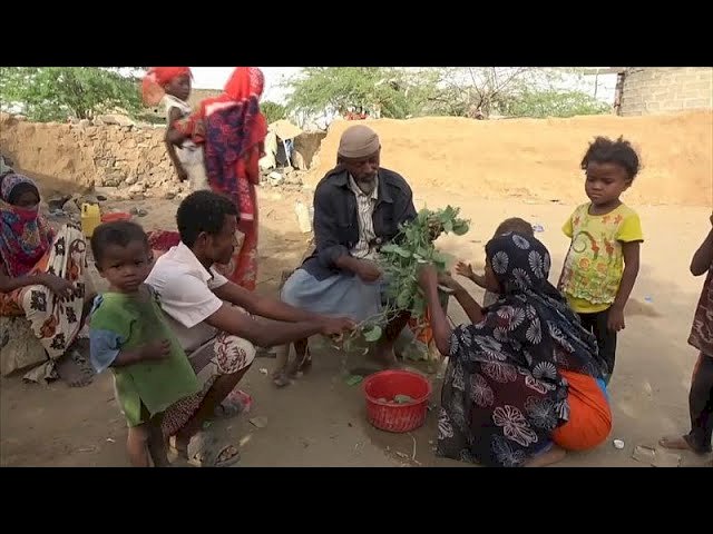 BM: Yemen'de halk yaprak yiyerek hayatta kalıyor!