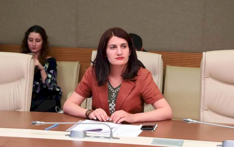 HDP Milletvekili Semra Güzel hakkında yakalama kararı