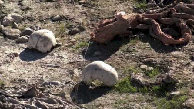 Şengal'de yeni toplu mezar bulundu