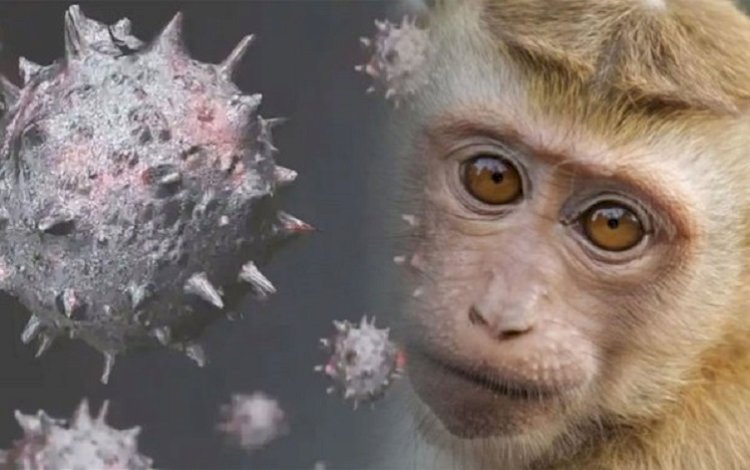 Maymun çiçeği virüsünün adı değişiyor