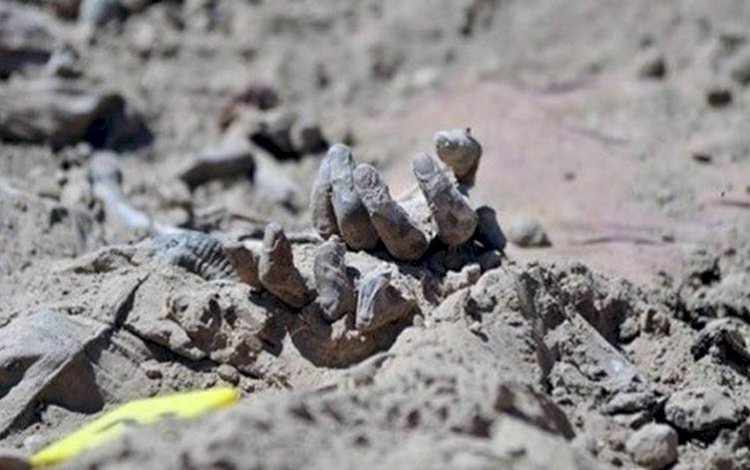 Şengal'de IŞİD döneminden kalma 6 toplu mezar daha açılıyor