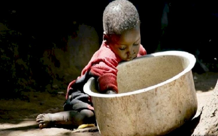 BM raporu: Açlıkla karşı karşıya olanların sayısı 828 milyona çıktı