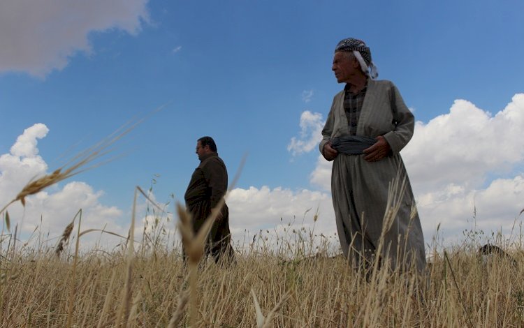 Kerkük’te Kürt ve Arap çiftçiler arasında kavga
