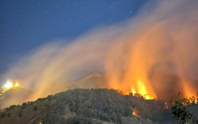 Dersim’in Ovacık ilçesinde orman yangını