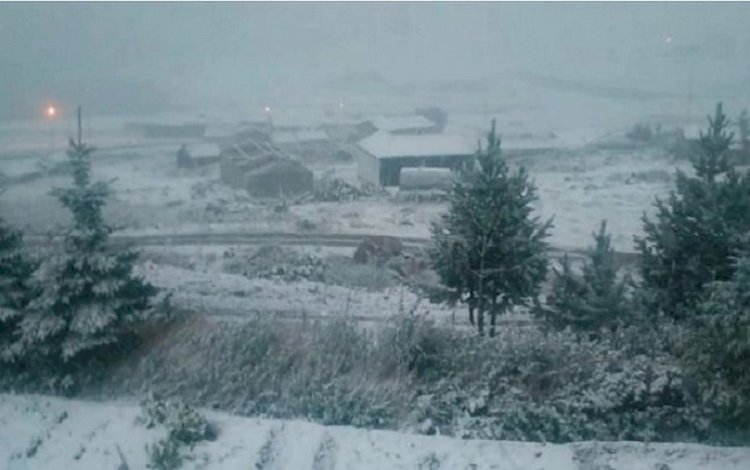 Erzurum, Kars ve Ardahan'da mevsimin ilk karı yağdı