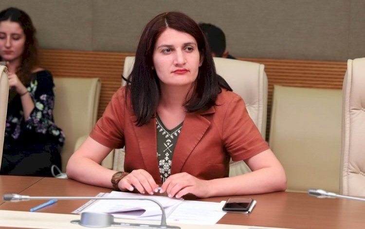 HDP Milletvekili Semra Güzel'in 15 yıla kadar hapsi istendi