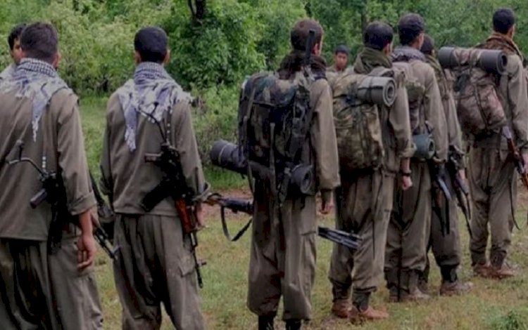 PKK hayatını kaybeden 17 üyesinin kimliklerini açıklandı