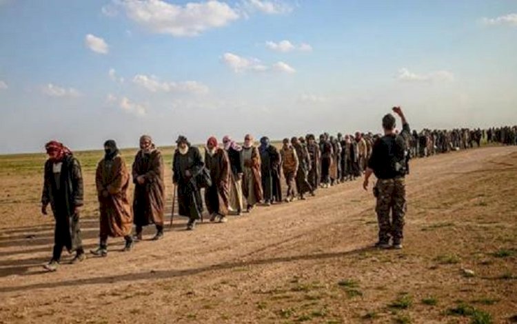 DSG 50 IŞİD’liyi Irak'a teslim etti