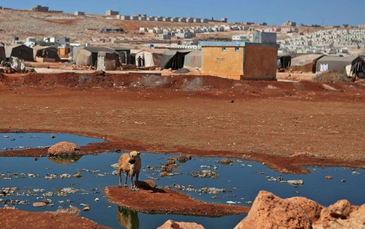 HRW'den 'Rojava' uyarısı: Türkiye, Suriye'deki kolera salgınını kötüleştirdi