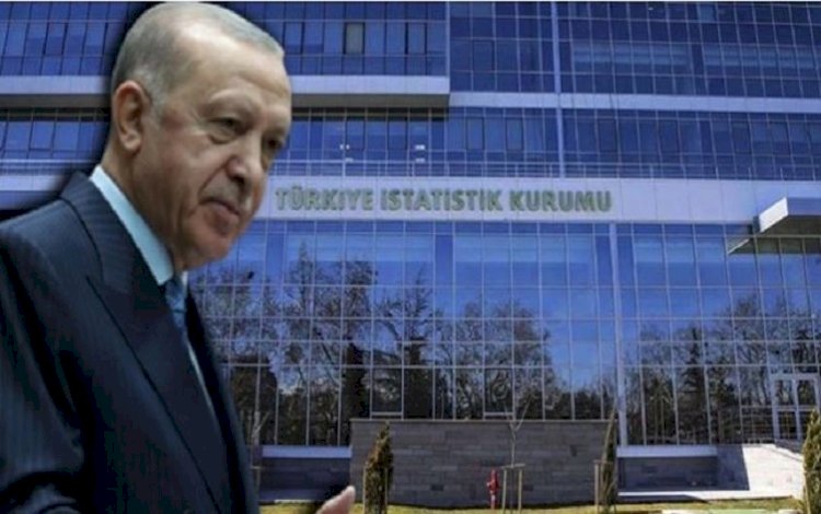 Erdoğan, TÜİK başkan yardımcısını görevden aldı