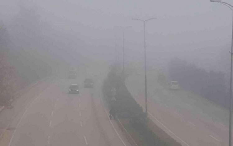 5 Kürt kentinde sis etkili oldu