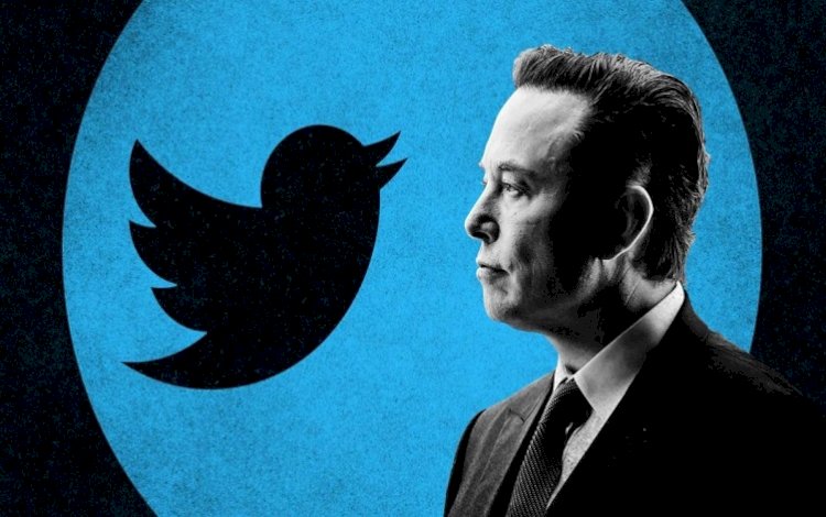Elon Musk’tan anket: Twitter yöneticiliğinden istifa etmeli miyim?