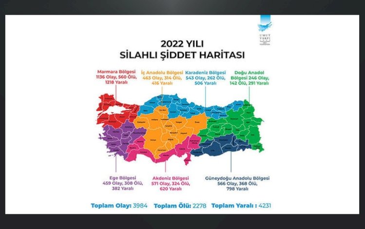 2022 Silahlı Şiddet Haritası; İlk sırada Urfa ve Diyarbakır var