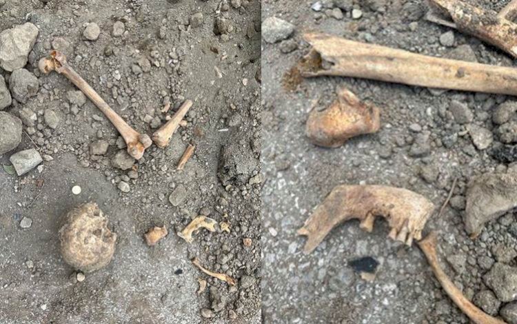 Van'da inşaat kazısında insan kemikleri çıktı