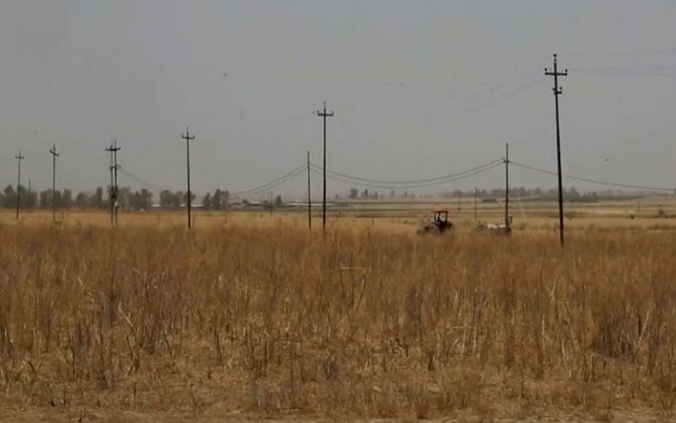 Irak ordusundan Kerkük’te Kürt çiftçilere engel