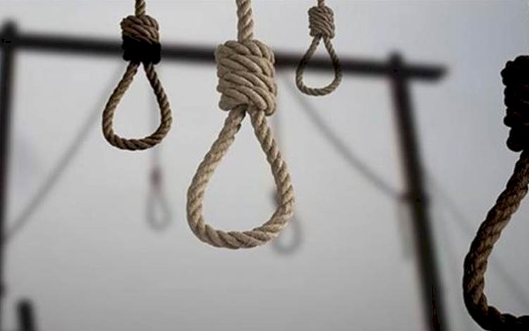 İran İnsan Hakları Örgütü: 6 ayda 354 kişi idam edildi