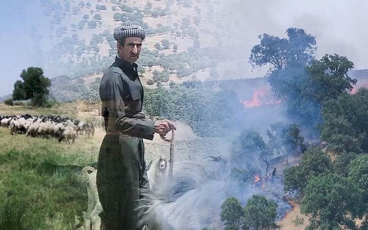 Amedi'de çiftçiler TSK- PKK çatışması nedeniyle ovalara taşınıyor