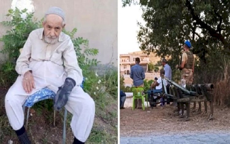 Diyarbakır'da yaşlı adam, köpeklerin saldırısında hayatını kaybetti