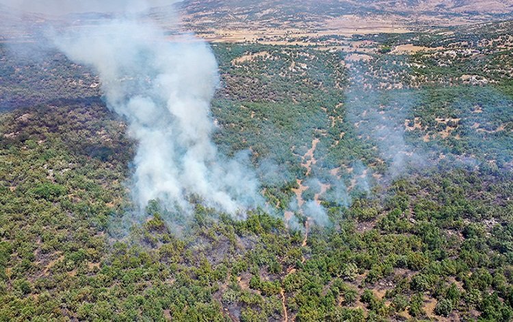 Diyarbakır-Lice’deki orman yangını söndürüldü