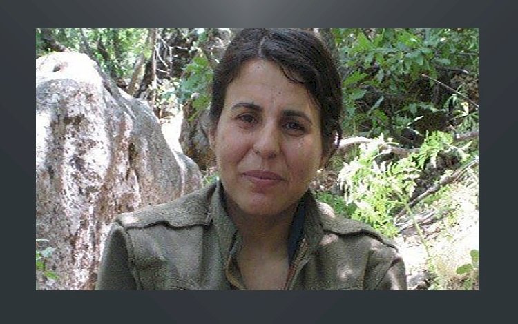 Bitlis'te çatışma: Bir PKK'li yaşamını yitirdi