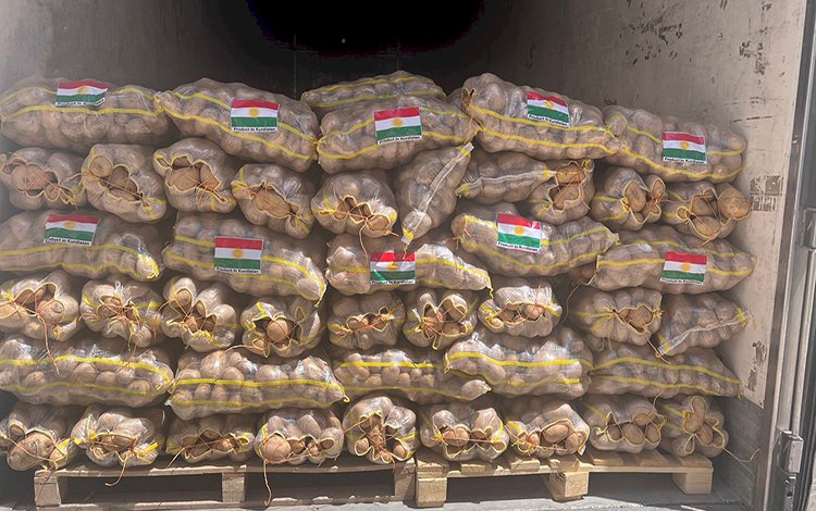 Kürdistan Bölgesi’nde üretilen 120 ton patates BAE’ye ihraç edildi