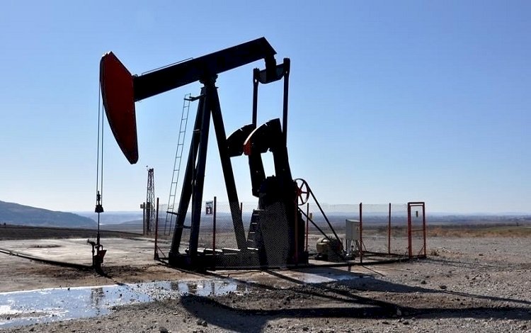Şırnak ve Siirt’teki sahalar için petrol arama ruhsatı verildi
