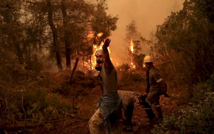 Yunanistan'da yangınların devam ettiği bölgede 18 kişinin cesedi bulundu