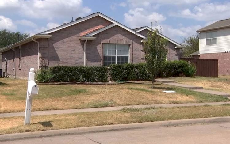 Teksas’ta aynı aileden 4 Kürt evlerinde silahla vurulmuş halde bulundu
