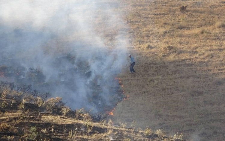 Bitlis'te çıkan örtü yangınında 12 hektar alan zarar gördü