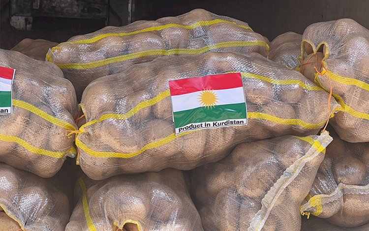 Kürdistan Bölgesi’nden BAE’ye bin ton patates ihraç edildi