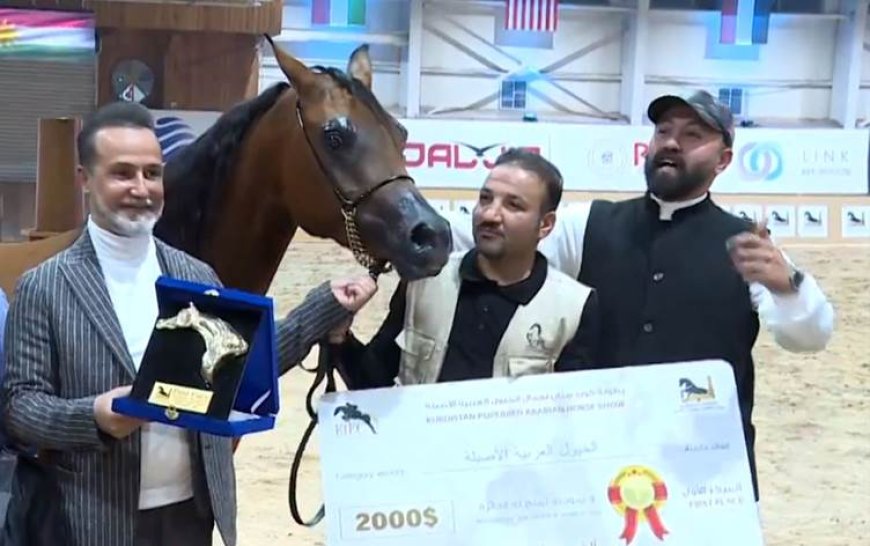 Erbil’de 'Arap atları güzellik yarışması' düzenlendi
