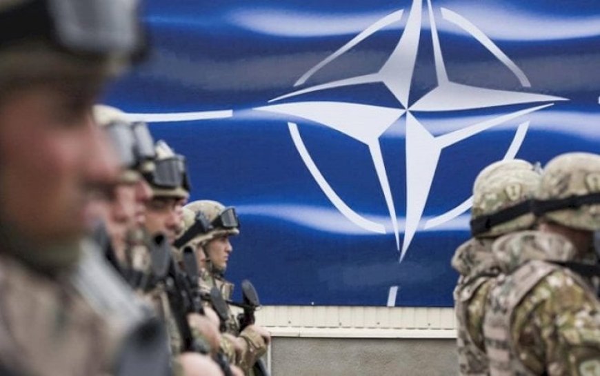Emekli İngiliz Albay: 'NATO güçleri Ukrayna'ya girebilir'