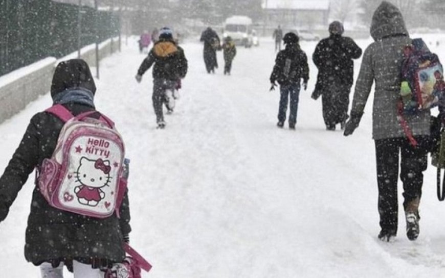 Eğitime kar engeli: Bitlis ve Van'da okullar tatil