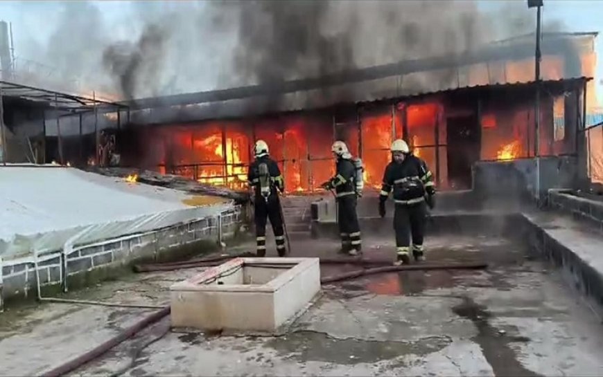 Diyarbakır'da güvercin otelinde yangın: Yüzlercesi öldü!