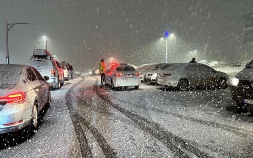 Kars, Ardahan ve Dersim'de bahar ayında yağan kar etkili oldu