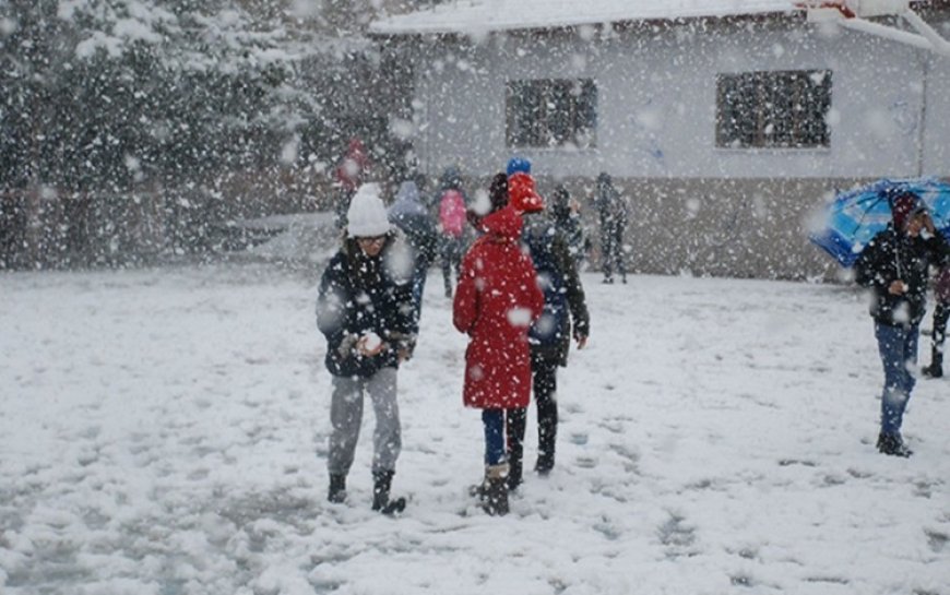 Van, Hakkari ve Şırnak'ta okullar tatil edildi