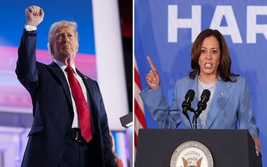 Kamala Harris’in şansı ne? İşte son anketler