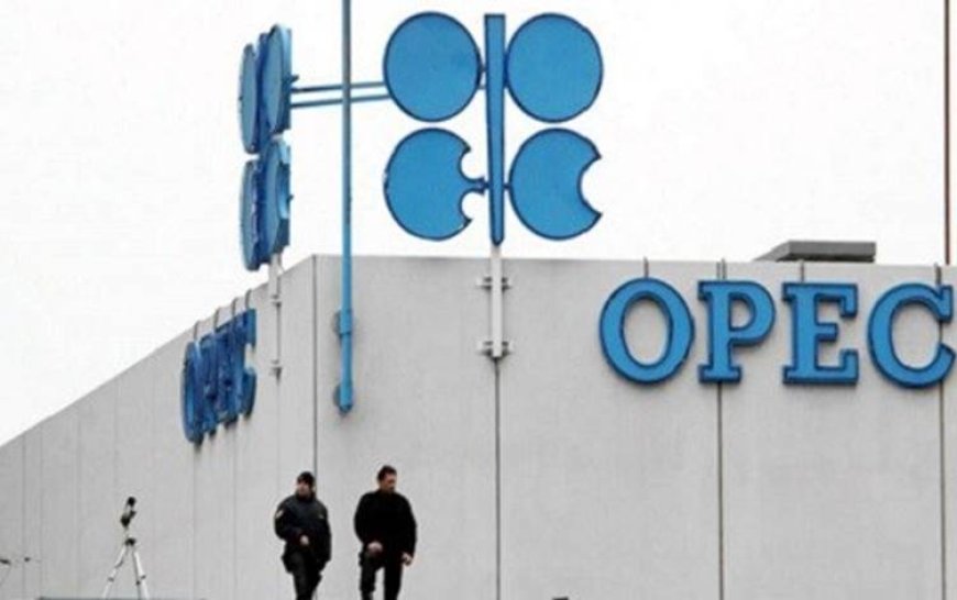 OPEC'ten Irak’a Kürdistan petrolü çağrısı