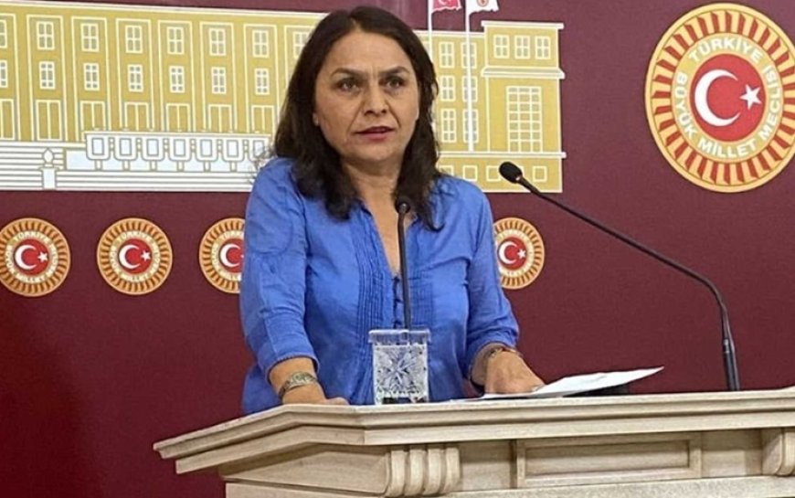 DEM Parti'li Saki: Kürt göçmenlerin İran’a geri gönderilmesi hukuka aykırıdır